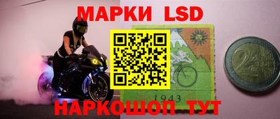 прущие грибы Гатчина