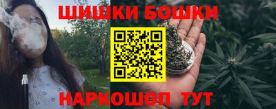 прущие грибы Гатчина