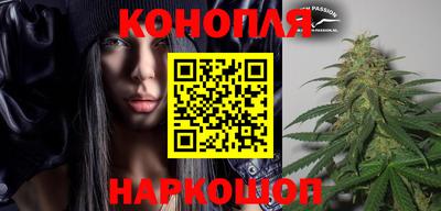 прущие грибы Гатчина