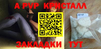ECSTASY Гай