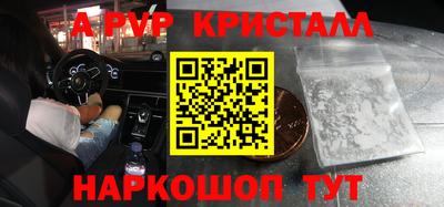 прущие грибы Гатчина