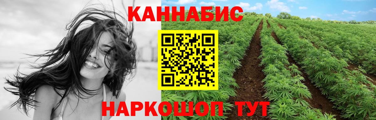 Канабис OG Kush Искитим